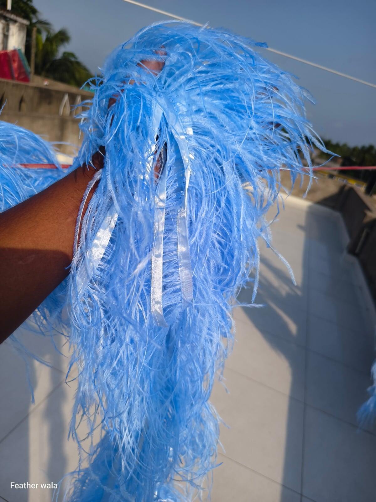 Ostrich feather lace
